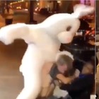 Bad Bunny, il "coniglio furioso" picchia un uomo, salva la ragazza aggredita e diventa l'eroe del web