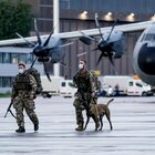 Cani soldato americani «abbandonati a Kabul», l'ira degli animalisti su Joe Biden