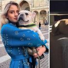 Valentina Ferragni invidiosa del cagnolino Pablo: «Bella vita la tua»