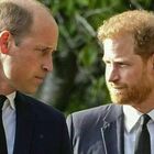 Harry, la triste dichiarazione a William: il destino che Lady Diana non avrebbe mai voluto
