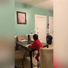Alexa, un bambino furbetto si fa fare i compiti di matematica VIDEO