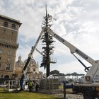 Speraggio addio, smontato l'albero di piazza Venezia