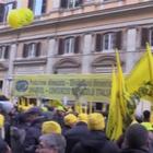 Xylella, Coldiretti in piazza a Roma: «Serve un piano salva olio italiano»