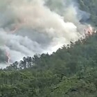 Cina, cade aereo Boeing 737. «A fuoco nelle montagne»