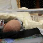Neonato abbandonato in un sacchetto dalla mamma, dopo tre anni strappato ai genitori affidatari: «Deve tornare da chi l'ha partorito»