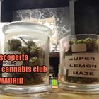 I social cannabis club invadono Madrid