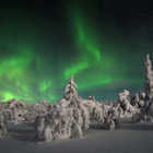 Aurora boreale, che spettacolo: tre luoghi top dove ammirarla