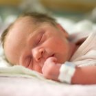 È nato il nipote mio: in quei tre chili scarsi il senso della vita È nato il nipote mio: in quei tre chili scarsi il senso della vita