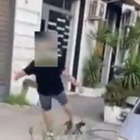 Gatto preso a calci in video, denunciati due minorenni. Il post su Instagram: «Grazie, ora ho più followers»