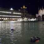 Maltempo, a Venezia acqua alta record: 183 centimetri, non accadeva dal 1966. Alberi caduti a Roma