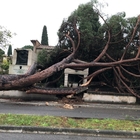 Maltempo a Roma, alberi caduti al Verano