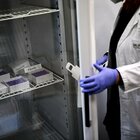 Vaccino, in Germania campagna sospesa: problemi alla "catena del freddo"