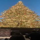 L'accensione dell'albero di Natale a Piazza Duomo