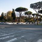 Incidente mortale a viale delle Terme di Caracalla (Claudia Rolando / AG Toiati)