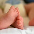 Tre neonati uccisi e sepolti in cantina: arrestati padre e figlia. Si indaga per infanticidio e incesto