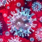 Coronavirus, trovati enzimi hacker nel suo codice genetico: passi avanti sull'immunità