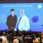 Nobel a Karikò e Weissman per i vaccini anti Covid, l'ira dei no-vax: «Propaganda politica, è una farsa»