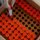 Coronavirus, vaccino Pfizer verso richiesta a Fda. L'immunologa Viola: «Se c'è a gennaio, contenta di farlo» DIRETTA