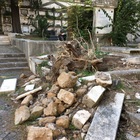 A Roma caduti due pini al Verano: alcune tombe danneggiate