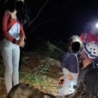 Pescara, ritrovate dal cane Joy mamma e bambina disperse nel bosco