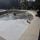 La fontana davanti al Castello Sforzesco a Milano piena di...