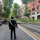 Roma, albero cade a viale Regina Margherita