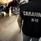 Schiaffi in testa, minacce e insulti ai disabili, orrore a Bologna: 12 operatori sanitari indagati per maltrattamenti