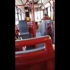 Insulti razzisti sul bus di linea: l'autista litiga con la passeggera