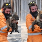 Australia, un miliardo di animali uccisi dagli incendi