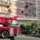 Maltempo in Sardegna, grosso albero schiaccia una vettura con donna e bimbo a Cagliari