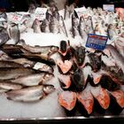 Mangia del pesce non cotto bene: un'infezione la manda in fin di vita. «Amputati tutti e quattro gli arti»