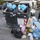 Roma, emergenza rifiuti: topi e blatte per le strade