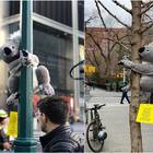 Koala a New York: i peluche sugli alberi per raccogliere fondi per l'Australia