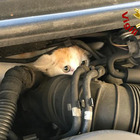 Gattino incastrato nel motore dell’Audi A3, liberato dai pompieri-meccanici Foto