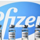 Vaccini, l'Ema: «Tre pronti a gennaio». Pfizer chiede autorizzazione a mercato Usa
