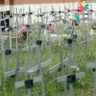Cimitero dei feti al Flaminio: multa da 400mila euro ad Ama e Comune di Roma