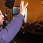 Bocciato il referendum, ira Salvini