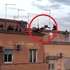 Si lancia dal tetto di un palazzo, un poliziotto lo afferra per le gambe. L'incredibile salvataggio