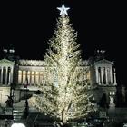 Roma, l'albero di Natale sarà targato Netflix: addio a "Spelacchio"
