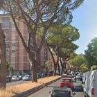 Roma, donna investita sulle strisce pedonali da un furgone in via di Val Melaina: è grave