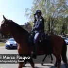 Con la polizia a Villa Borghese: stretta anti-furbetti