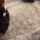Nubufragio Firenze, bomba d'acqua con grandine: due furgoni sommersi nel sottopasso