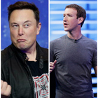 Elon Musk-Mark Zuckerberg, lite viaa social: «Ci vediamo nella gabbia...»