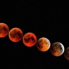 Eclissi luna totale, come vedere la luna rossa dell'8 novembre