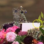 Regina Elisabetta, un ragno sul feretro: spuntato dai fiori, le foto sui social. «Segno di buon auspicio»