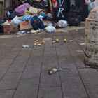 Roma, rifiuti e topi morti in via dei Gracchi a Prati