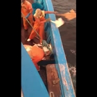 Quintali di pesci morti rigettati in acqua dai pescatori: la denuncia in un video