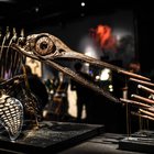 Parigi, all'asta lo scheletro di un dinosauro dell'epoca giurassica