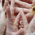 Egitto, la ricetta del governo contro la crisi economica: «Mangiate zampe di gallina: costano poco e sono proteiche»