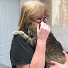 Il suo gatto torna a casa dopo 11 anni: «Avevamo il cuore spezzato»